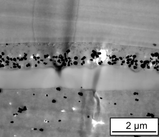 /ueditor/jsp/upload/image/20200921/1600646856455065649.jpg /ueditor/jsp/upload/image/20200921/1600646856455065649.jpg