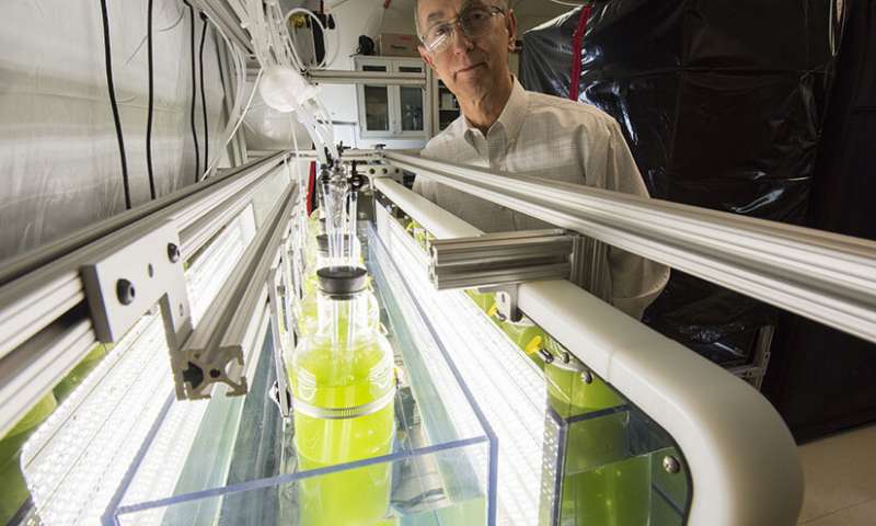 /ueditor/jsp/upload/image/20200929/1601338592821033469.jpg /ueditor/jsp/upload/image/20200929/1601338592821033469.jpg